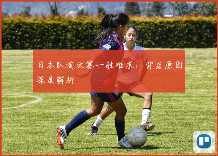日本队淘汰赛一胜难求，背后原因深度解析
